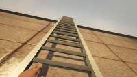 GTA Online - climbing up to the roof