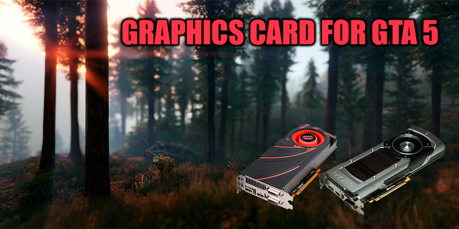 Which graphics card will be the best for GTA 5?