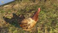 In GTA 5 you can turn into a chicken!