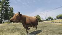 In GTA 5 you can turn into a cow!