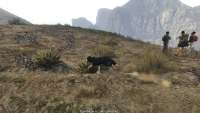In GTA 5 you can turn into a Sheepdog