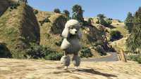 In GTA 5 you can turn into a poodle!