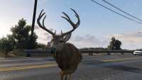 In GTA 5 you can turn into reindeer!