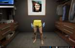 Invisible torso and arms for GTA Online