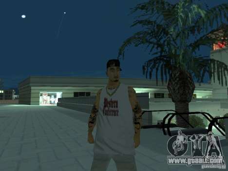 Skins Collection for GTA San Andreas