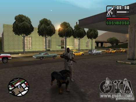 Rottweiler for GTA San Andreas