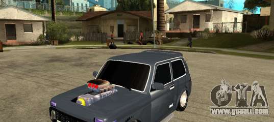 NIVA Mustang