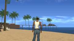 Disabling effects of heat for GTA San Andreas