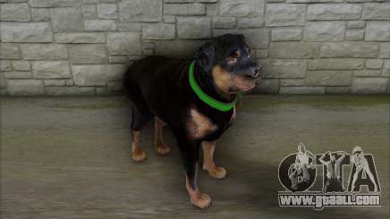 Rottweiler from GTA 5 for GTA San Andreas