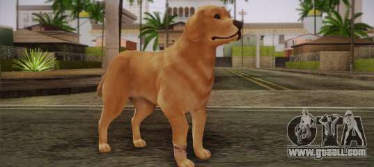 Rottweiler for GTA San Andreas