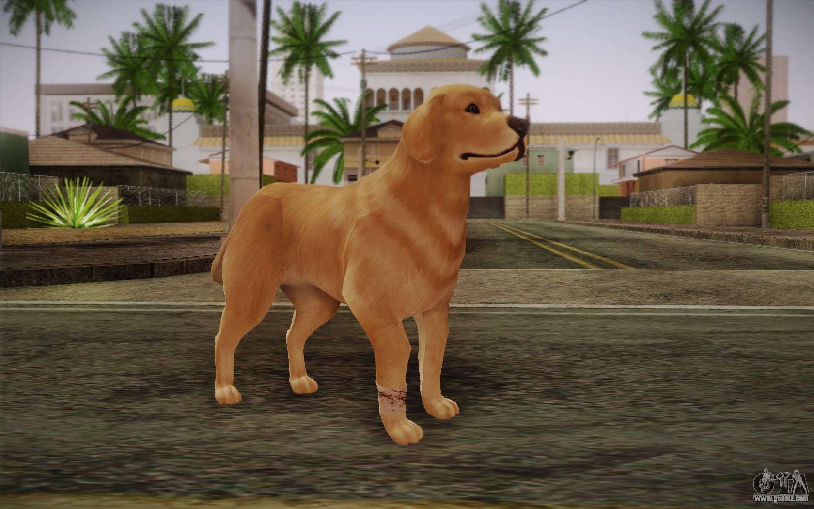 gta san andreas dog cheat