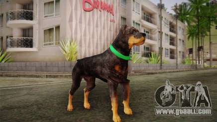 Rottweiler from GTA V for GTA San Andreas