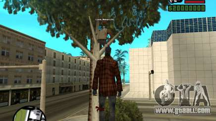 Players Informer for GTA San Andreas