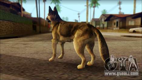 Dog Skin v2 for GTA San Andreas