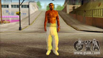 Plen Park Prims Skin 6 for GTA San Andreas