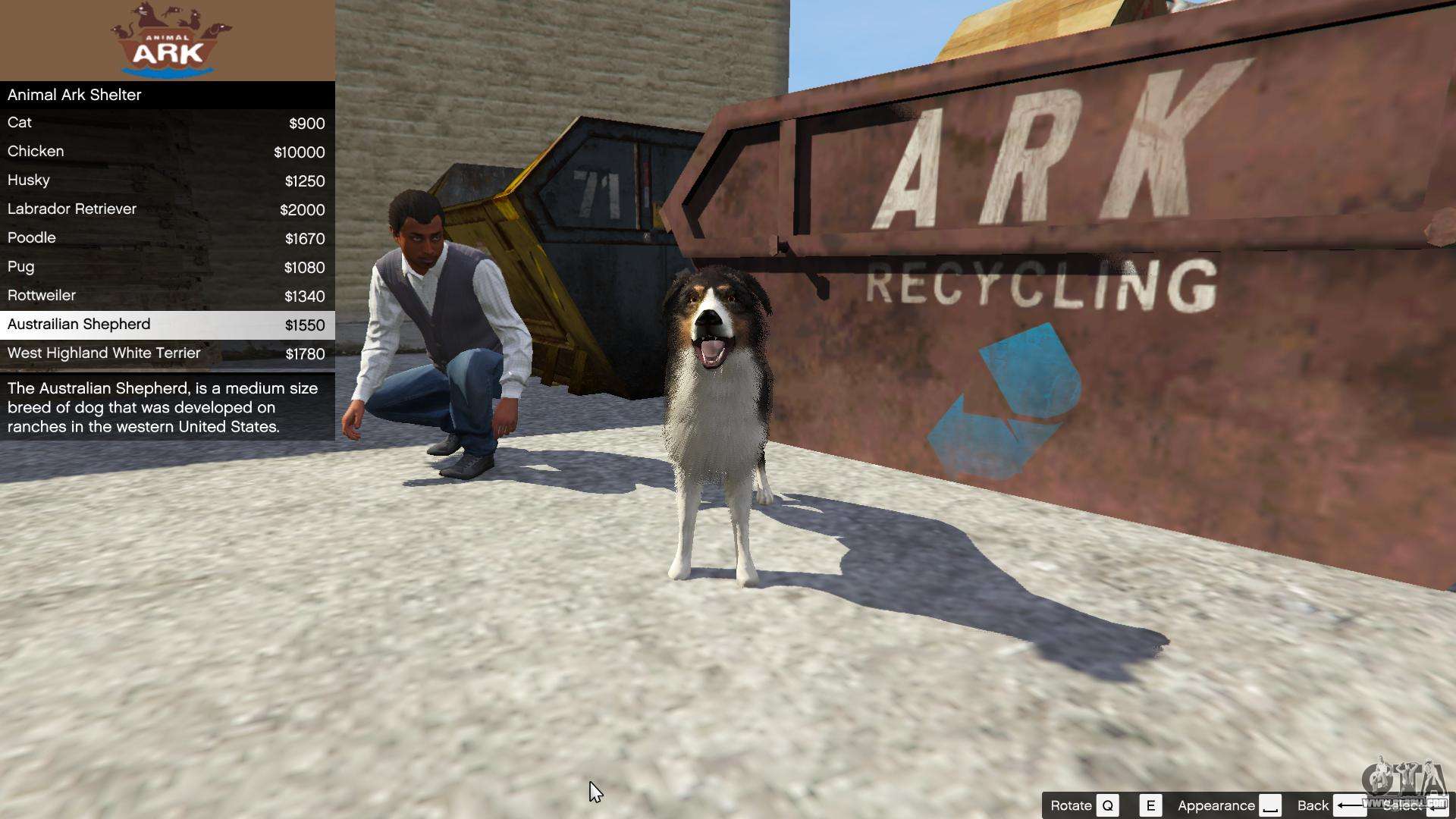 Animal Ark Shelter for GTA 5