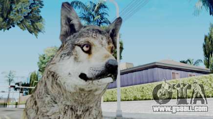 Wolf for GTA San Andreas