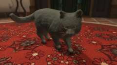 Gray House Cat for GTA 5