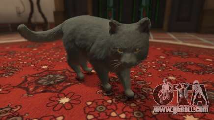 Gray House Cat for GTA 5