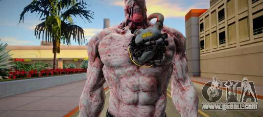 Nemesis Spring Break