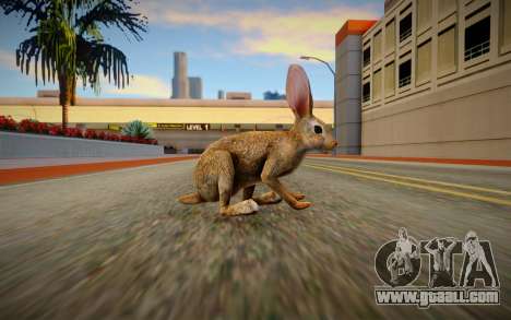 Rabbit for GTA San Andreas