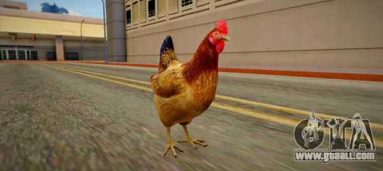 Hen
