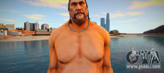 Sanchez Skin