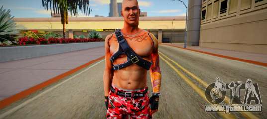 Punk (good skin)