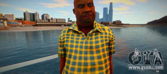 Passer-by from GTA V 2