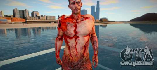 Derek C Simmons Human