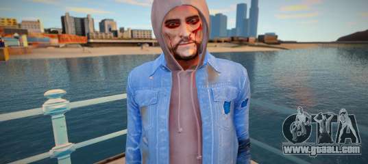 Homeless skin