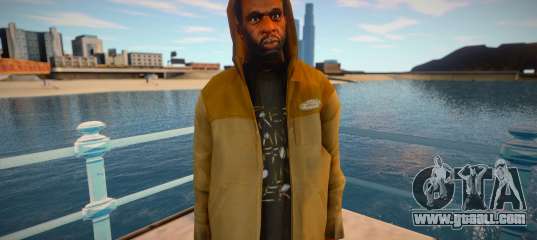 Skin from GTA V v3
