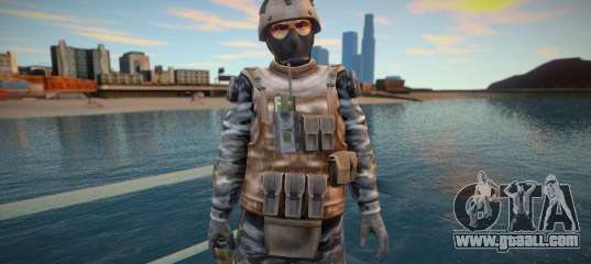 Dead Or Alive 5 - Soldier v2
