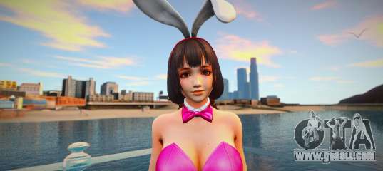 Naotora Le Bunny