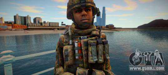 Call Of Duty Modern Warfare skin 15