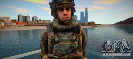 Call Of Duty Modern Warfare skin 3