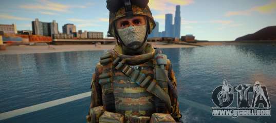 Call Of Duty Modern Warfare skin 8
