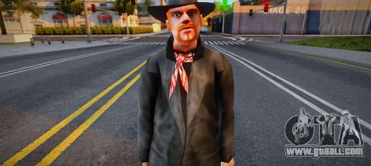 Brown Hair Cowboy