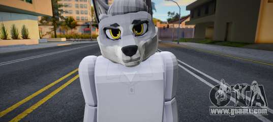 Roblox Skin 2