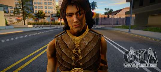 Prince Of Persia 5 Prince Skin