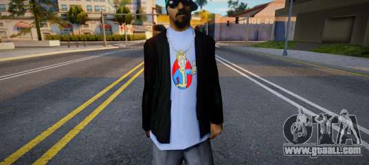 FSc Skin v2