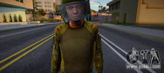 Swat faction skin