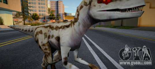 Velociraptor