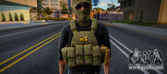 Federal Security Service (FSB) v1