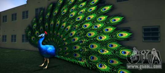 Peafowl Bike for GTA Vice City