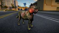 Cat from S.T.A.L.K.E.R. for GTA San Andreas