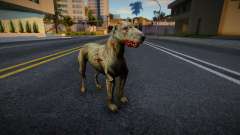 Dog from S.T.A.L.K.E.R. v1 for GTA San Andreas