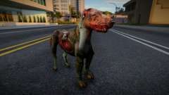 Dog from S.T.A.L.K.E.R. v4 for GTA San Andreas
