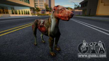 Dog from S.T.A.L.K.E.R. v4 for GTA San Andreas