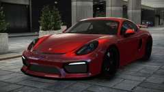 Porsche Cayman GT4 Ti